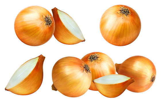 onions isolated on white