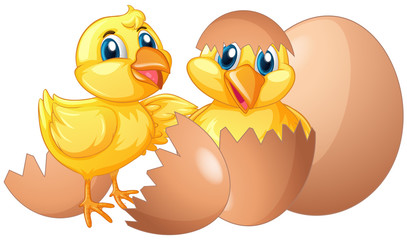 Two little chicks hatching eggs