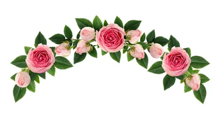 Poster de jardin Roses Pink rose flowers and buds arch arrangement