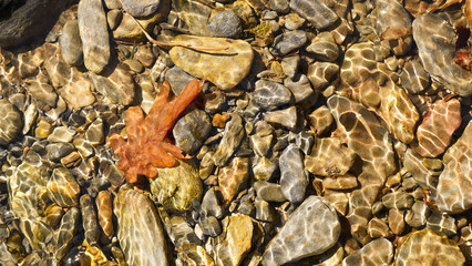 Background stones and oak leaf under water