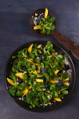 Mango, blueberries and cheese salad on black plate. View from above, top studio shot