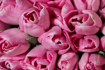 Amazing colorful spring bouquet tulips closeup. Background of flowers