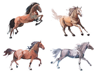 Fototapeta na wymiar Watercolor painting of galloping horse, free running mustang aquarelle