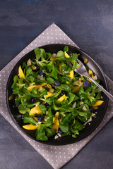 Mango, blueberries and cheese salad on black plate. View from above, top studio shot