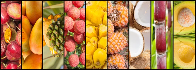 Poster collage de fruits exotiques. © Unclesam