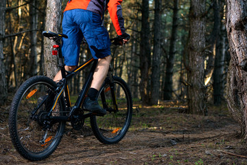 Fototapeta na wymiar Cyclist Riding the Bike on the Trail in Beautiful Pine Forest. Healthy Lifestyle and Sport Concept.