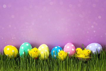 Easter eggs with decorative chicken in fresh green grass on purple background.