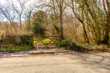 View of a farm gate in the english lake district