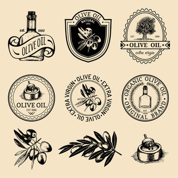Vector set of vintage natural olive production logos. Retro hand sketched extra virgin oil signs with farm elements.