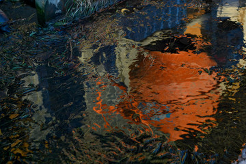 Spring water stream with ripples and reflections