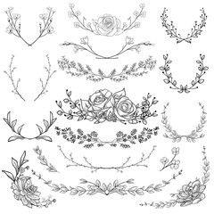 Black Drawn Herbs, Plants and Flowers. Vector Illustration