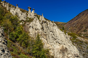 stones mushrooms mountains autumn