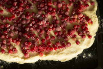 Uncooked red currant pie in a metal pie pan. Red fruits and berries.