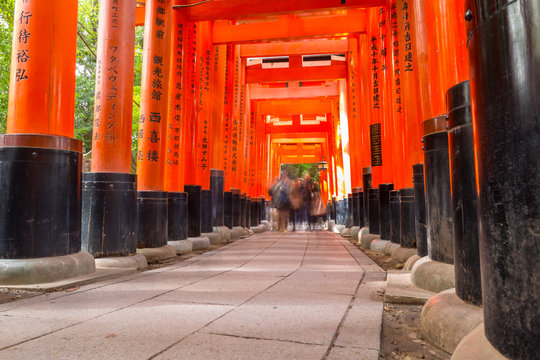 Thousands of torii gates in the Fushimi Inari Taisha Shrine in Kyoto, Japan