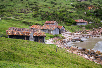 Fototapeta na wymiar Fischerhütten bei Praia do Rosa, Santa Catarina, in Brasilien