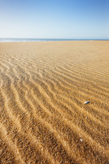 Nature beautiful Sand beach.