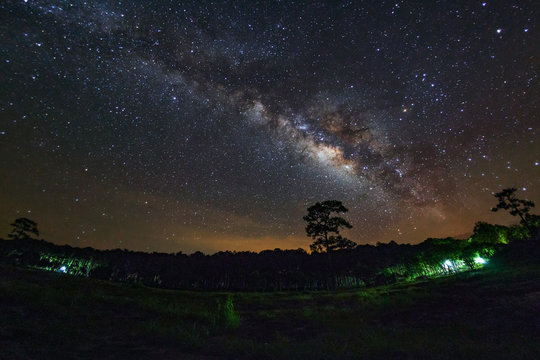 Milky Way and silhouette of tree at Phu Hin Rong Kla National Park,Phitsanulok Thailand, Long exposure photograph.with grain