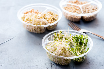 Various of sprouts in container Alfaalfa Radish Lentils Mung sprouts Healthy diet food