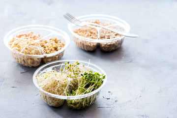 Various of sprouts in container Alfaalfa Radish Lentils Mung sprouts Healthy diet food