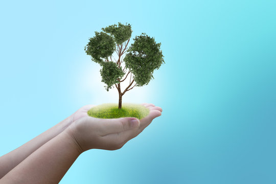 Hand holding tree with global and recycle concept
