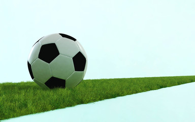 Soccer ball on the grass, 3d rendering
