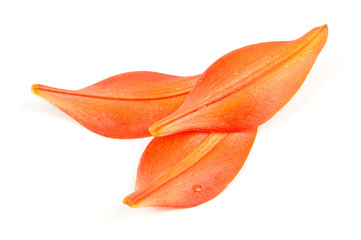 Tiger Lily Petals Isolated (back view) © Vidady