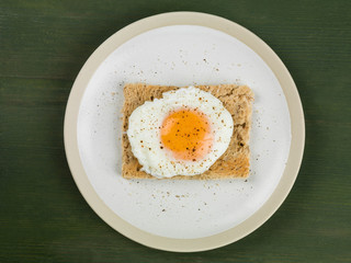 Poached Egg on Toasted Bread Breakfast Food