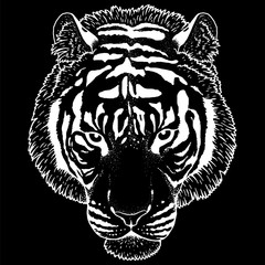 Tiger Head Illustration Vector