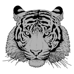 Tiger Head Illustration Vector