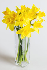 a bouquet of daffodils in a vase isolated on white