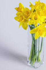 A bouquet of daffodils in an elegant glass vase