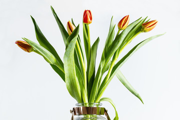 A bouquet of tulips in  a copper vase