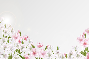 Greeting card with Alstroemeria can be used as invitation card for wedding, birthday and other holiday and summer background. Vector illustration.