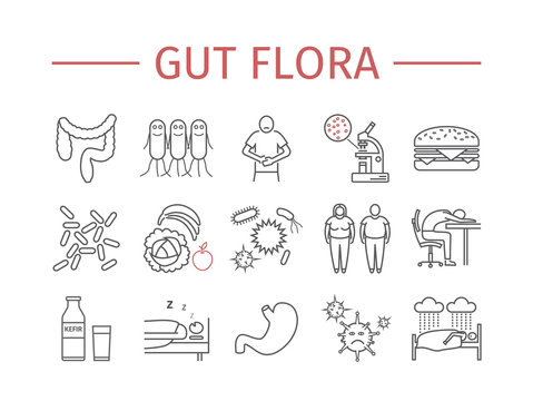 Gut Flora. Line Icons Set.