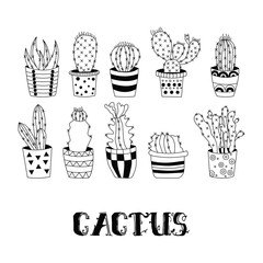 Cute hand drawn cactuses in Flower pots.