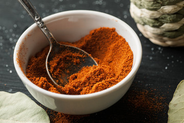 Ground paprika powder in a white ceramic bowl with metal spoon in it, closeup shot