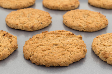 Close view of oatmeal cookies on a baking sheet.