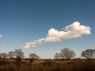 White Clouds in Blue skies Over Green Fields