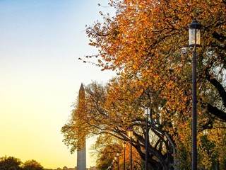 fall Washington Monument