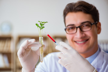 Biotechnology scientist working in the lab