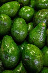 Fresh avocado at the Farmer's market. Vertical shoot of fresh avocado at the Farmer's market