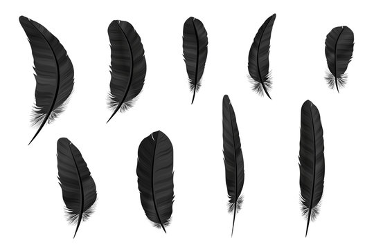 Feathers vector set in a 3d style. Icons feathers isolated on a light background. Collection of silhouettes of dark feathers. Simple icons feathers as elements for design.