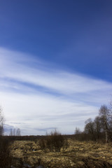 Spring nature - field and forest