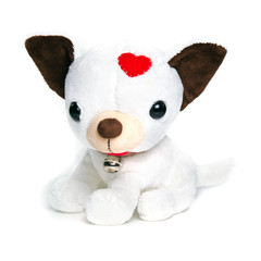 White puppy (dog) doll isolated on white with ring bell collar
