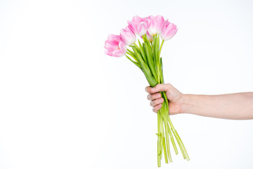 tulips bouquet in female hand