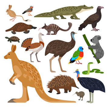 Cute set of Australian animals