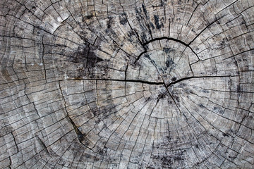 The wood surface, wood texture for background.