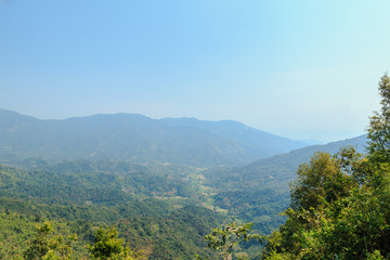 Area hills green forests with  nature landscapes in  summer