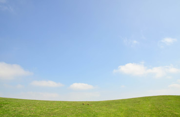 Simple landscape
