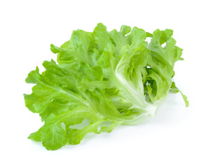 Salad leaf. Lettuce isolated on white background